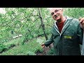 The Permaculture Orchard - For Anyone