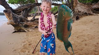11 Day Fishing Catch & Cook in Hawaii - Diving with Whales, Spearfishing, Snorkeling & Adventure