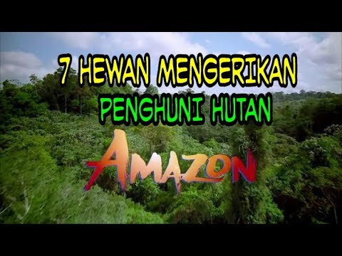 7 HEWAN MENGERIKAN PENGHUNI HUTAN AMAZON