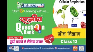 this is probably aria hidden