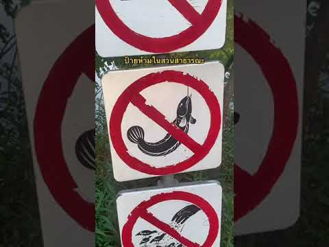 วีดีโอ: ห้ามปั่นจักรยานในสวนสาธารณะริชมอนด์