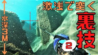 最短で石鯛を突けるようになる裏技　関西お魚突き144 スピアフィッシングspearfishing