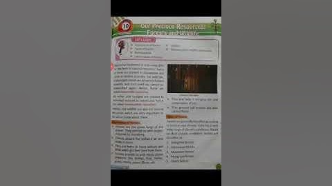 Grade IV Our precious resources-forests and wildlife
