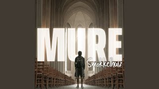 Mure