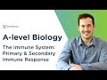 The Immune System: Primary & Secondary Immune Response | A-level Biology | OCR, AQA, Edexcel