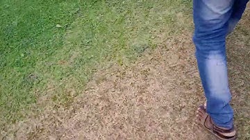 my final year project mechanical multi functional seed sowing machine (2)