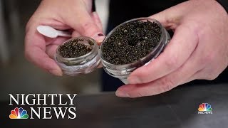 Where to find ‘America’s Best Caviar?’ Try Kentucky. | NBC Nightly News