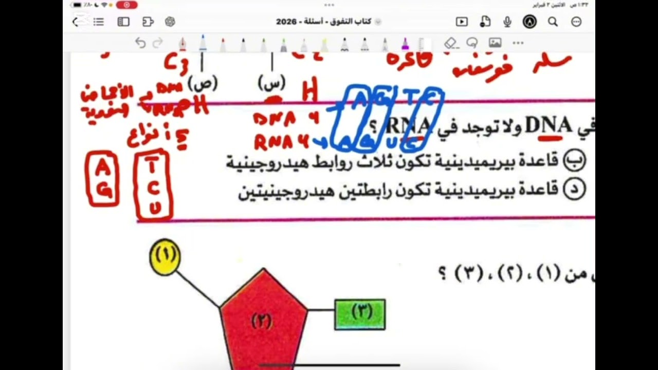 الحمض النووي DNA | كتاب التفوق 2026 🧬