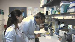 Substance in tangerines prevents obesity screenshot 2