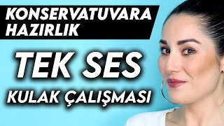 Konservatuvara Hazirlik Dersi̇ Tek Ses Kulak Çalişmasi