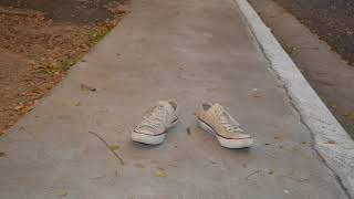 Walks Of Life - A Comm 197 Stop Motion Film