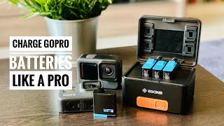 How To Charge GoPro Batteries Like A Pro | ZGCINE PS-G10 | RehaAlev