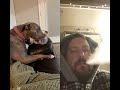 #dontsmoke #billyreacts #likeandsubscribe #funnydogs