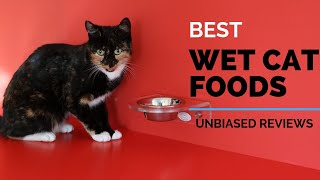 10 Best Wet Cat Foods 2020 | Best Selling - Ranking & Review