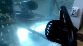 Vortech MP10 Operational Sound