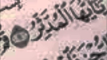 اواخر سورة المدثر للقارئ عمار العوفي