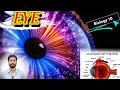 EYE |Structure of Eye | working of eye @BioBrain_by_rafahkhan