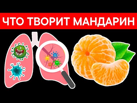 Видео: Трябва ли да храня мандарина на закрито
