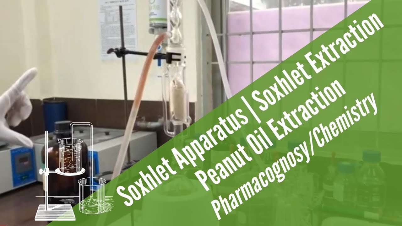 Soxhlet Apparatus Soxhlet Extraction Peanut Oil Extraction