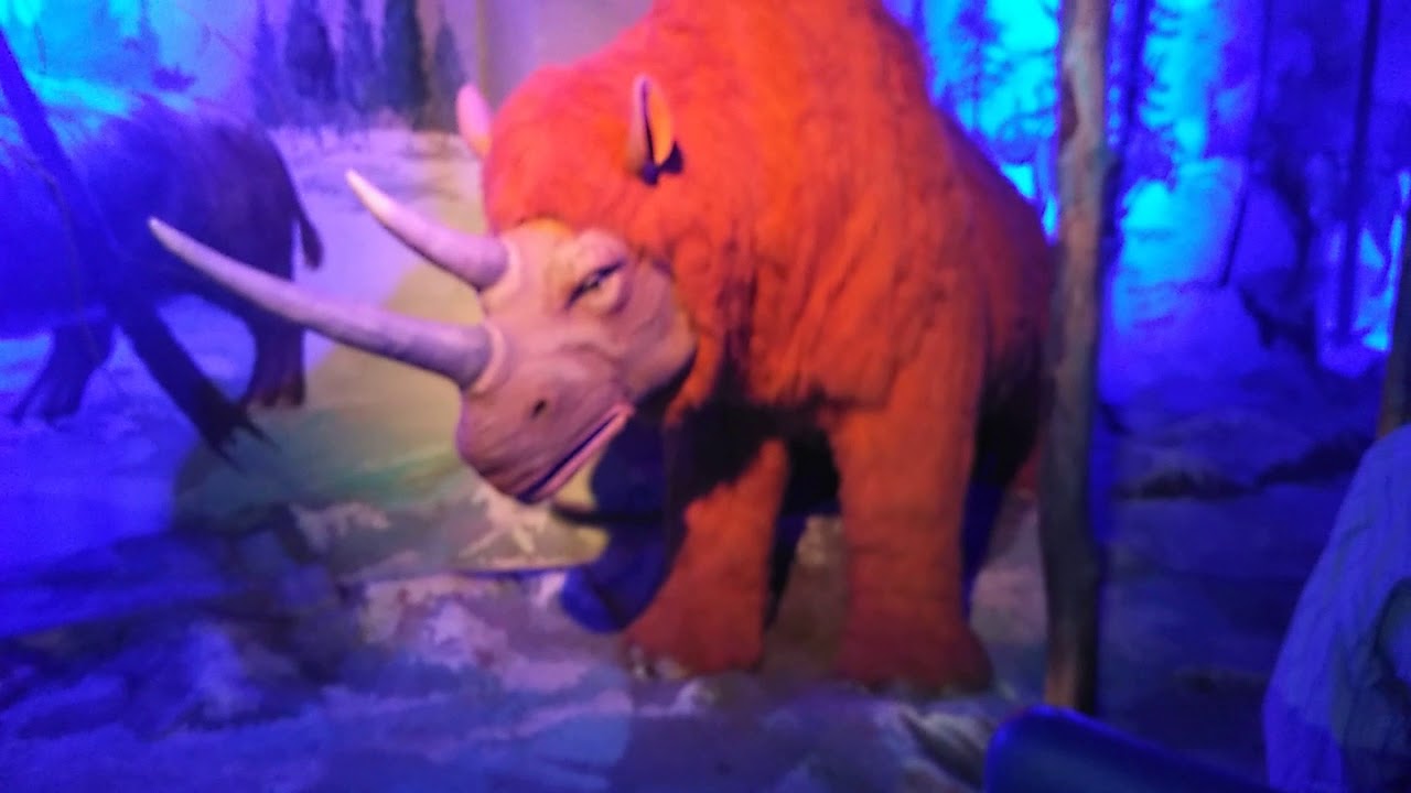 Evolution in science city YouTube