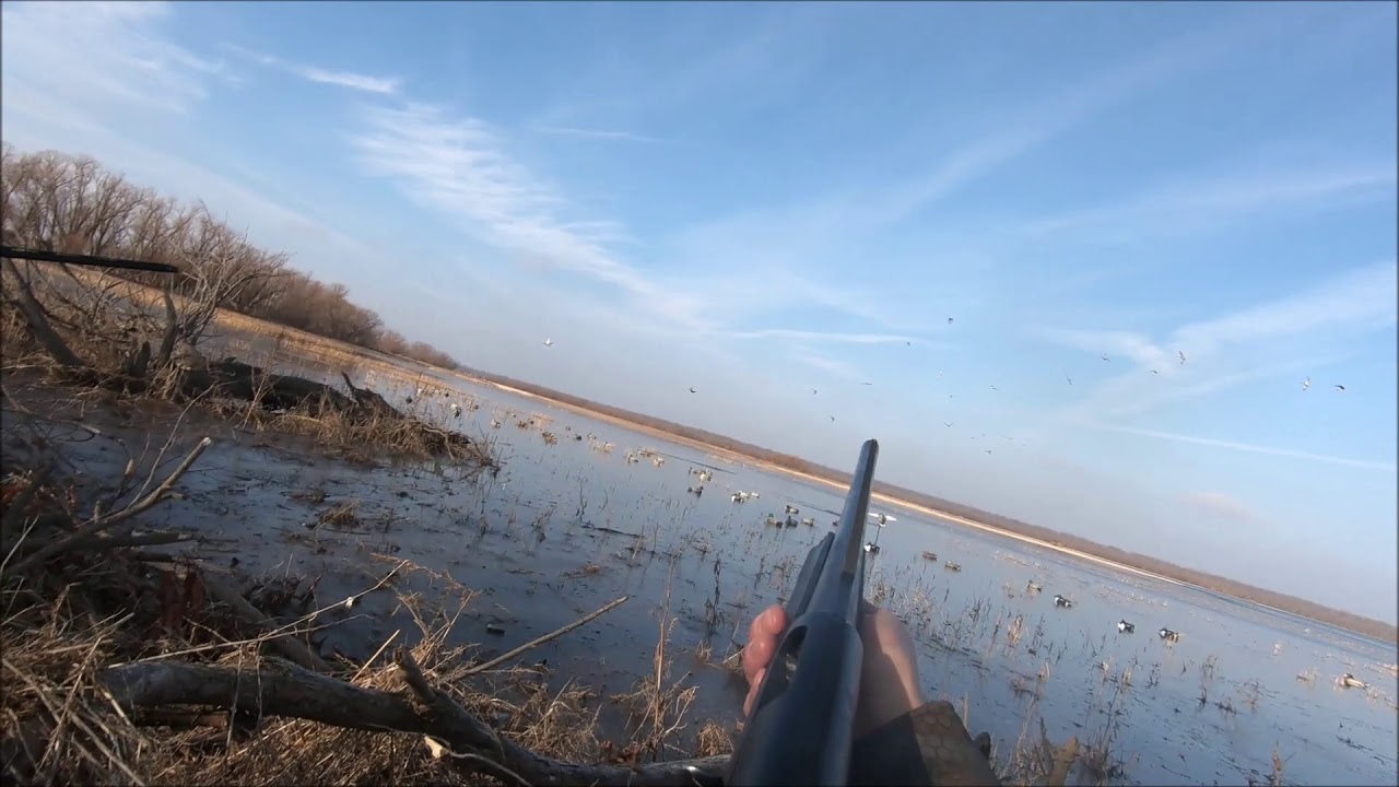 Duck season 2020