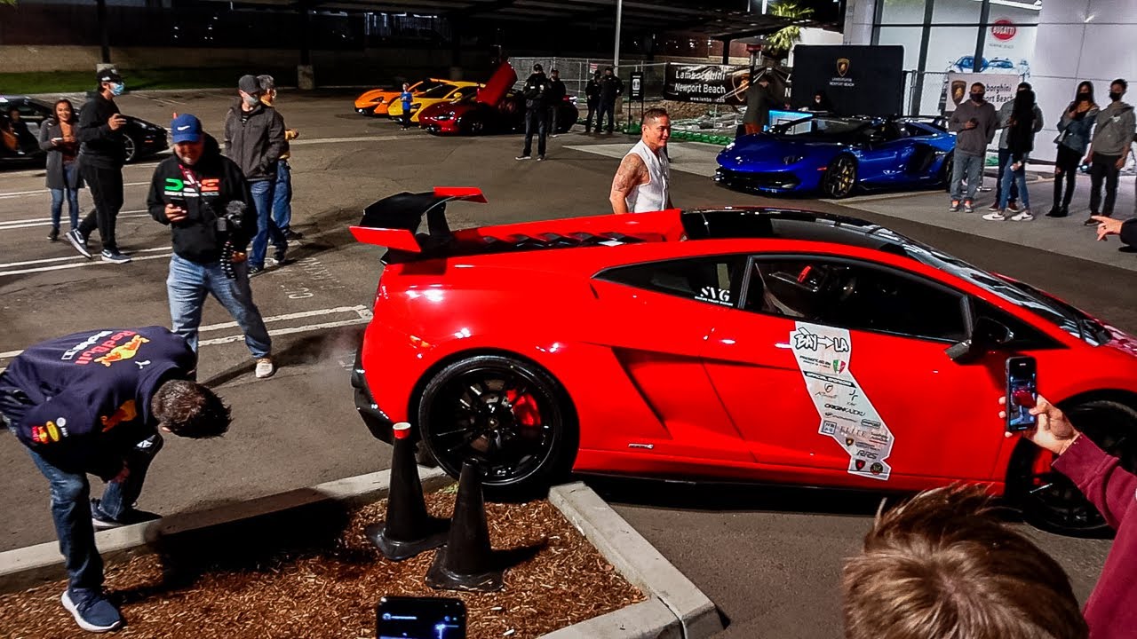 16 Minutes of Absolute Mayhem in Los Angeles Compilation