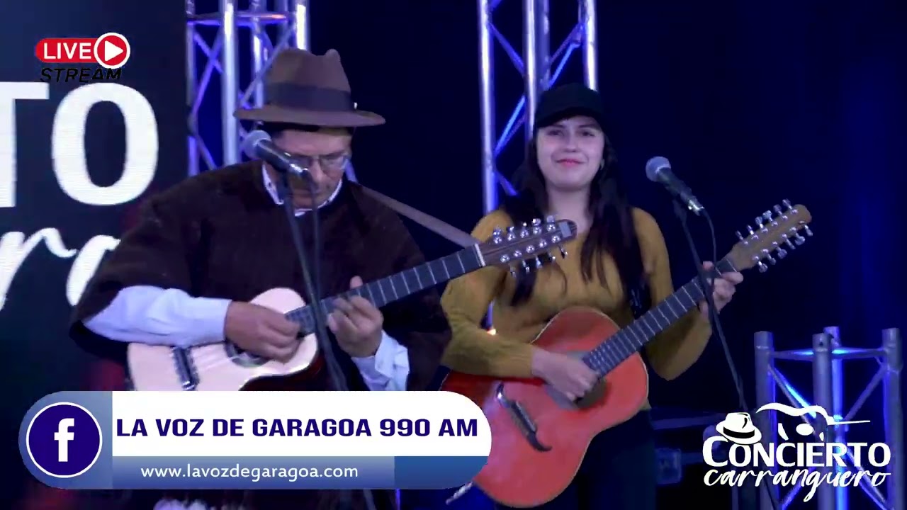 La vida del Chofer - Abinael Amado y Su Grupo Do Mayor | Concierto Carranguero | Show Musical