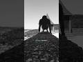 #pushups #цитатыосмысле #отжимания #motivation #спорт #pushup #undergroud #идеядлявидео #discipline