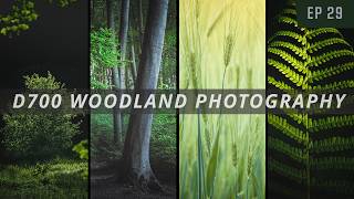Moody woodland photography Nikon d700