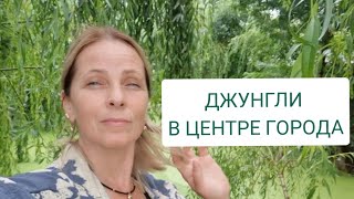 ВИЛКОВО.💥Не перестаю восхищаться! Попала под сильный дождь...