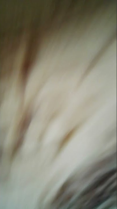 fjcjjfjchwhsjisiwhdxnvtvtvggitle