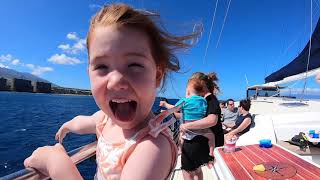 Jaquettes Hawaii 2019