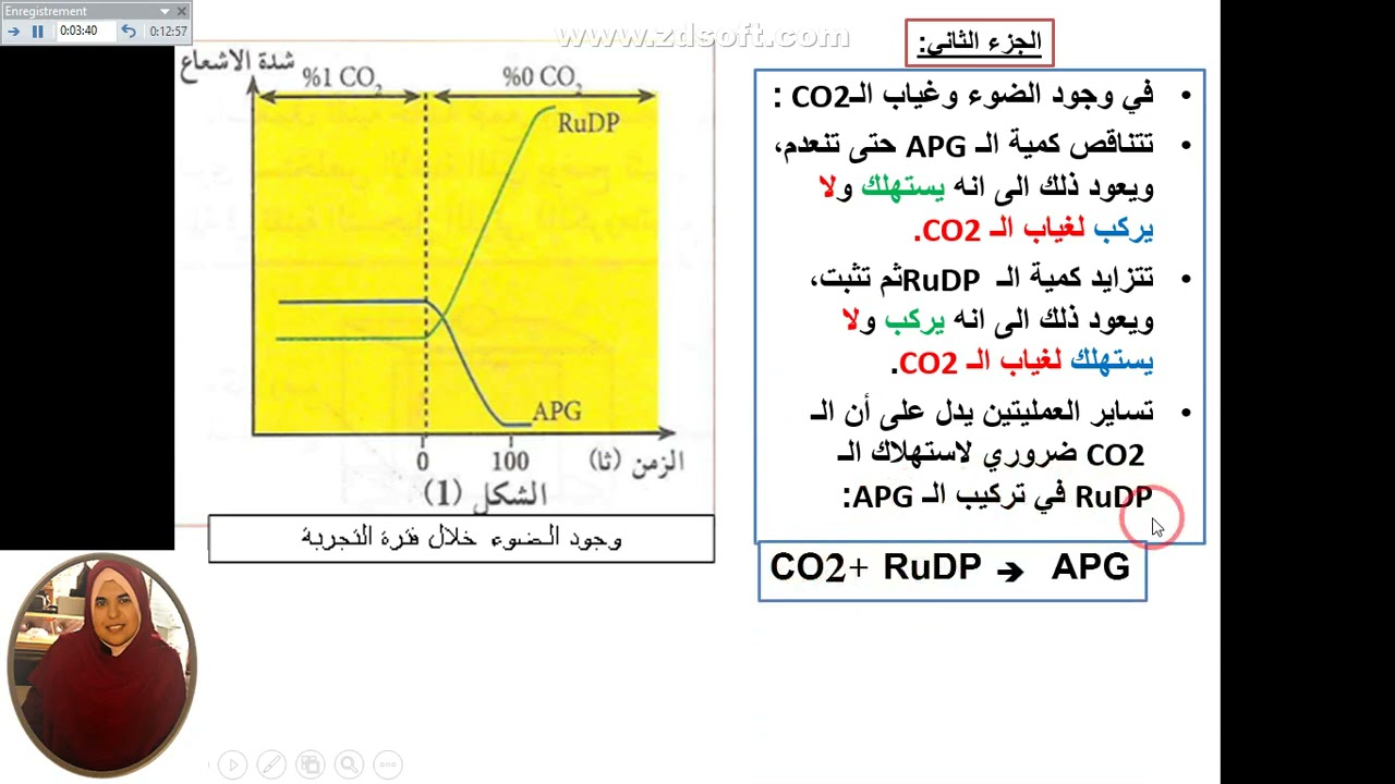 العرض 19 الجزء الثاني من التفاعل الكيموحيوي التحقق من صحة الفرضية