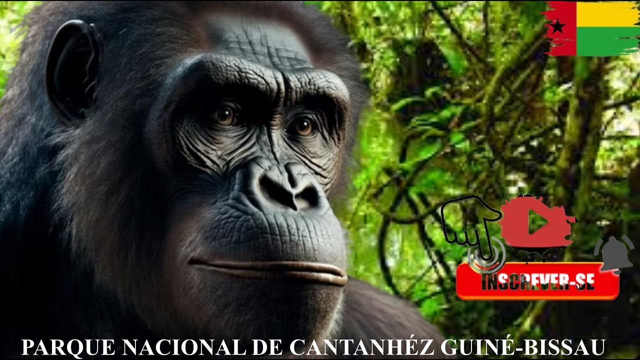 PARQUE NACIONAL DE CANTANHEZ GUINÉ-BISSAU