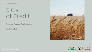 The 5 C's of Credit