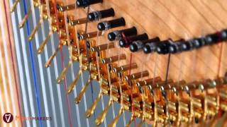 The Jolie Harp