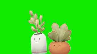 beautiful succulents pots cartoon animated green screen video for Youtubers. screenshot 1