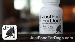 Supplements For Dogs: Joint Care | JustFoodForDogs