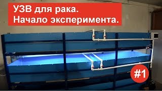 УЗВ для рака. Начало эксперимента. #1