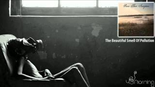 Since Their Inception - The Beautiful Smell Of Pollution