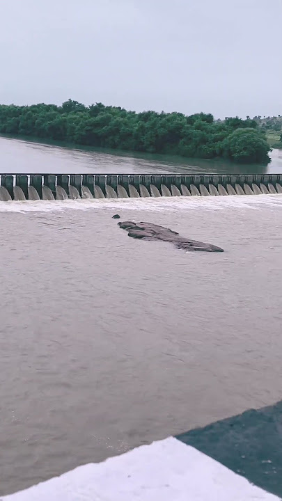 Pache ki Dhasan #beats #remix #dnb #music #phonk