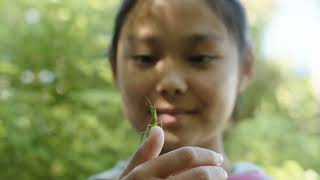 Sesame Street: B Is For Bugs