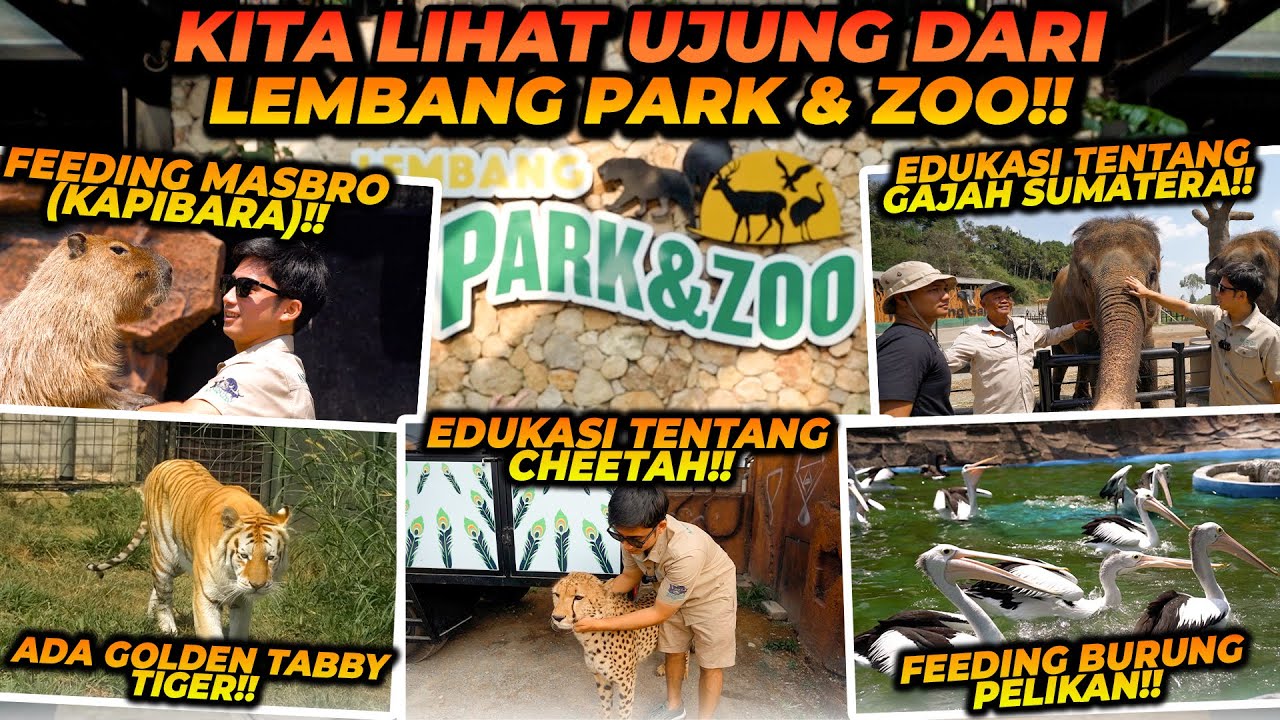 MELATIH MASBRO ! SATWA YANG PALING RAMAH DI DUNIA ?! TERNYATA INI UJUNGNYA LEMBANG PARK AND ZOO !