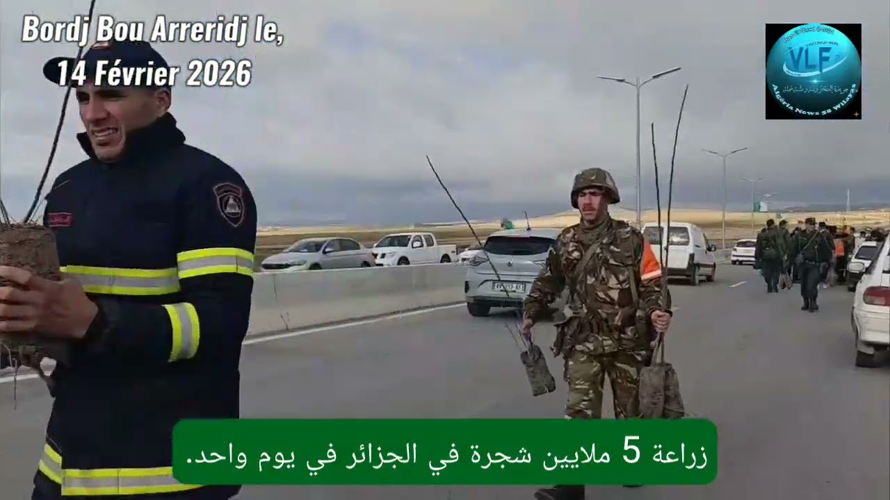 Plantation de 5 Millions d'arbres en une seule journée en Algérie.