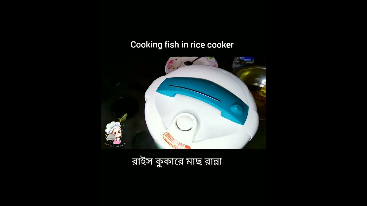 Cooking Fish In Rice Cooker YouTube Cooking Fish In Rice Cooker YouTube