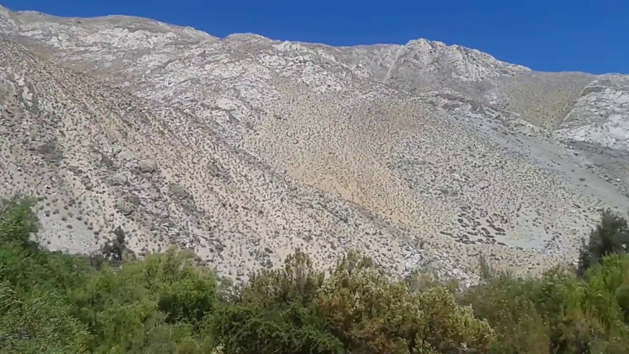 Camping ganimides    ALTOS DEL COCHIGUAZ    valle del elqui (cerro colorado)  4ta region