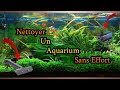 Aquarium  nettoyage et entretien des vitres propres et changement deau sans effort 