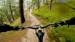 Aigen Trail RAW | Fully Edition | Vinschgau 2023