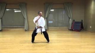 Lunge Punch