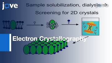 Assessing 2D Crystallization Trials: Small Membrane Proteins l Protocol Preview